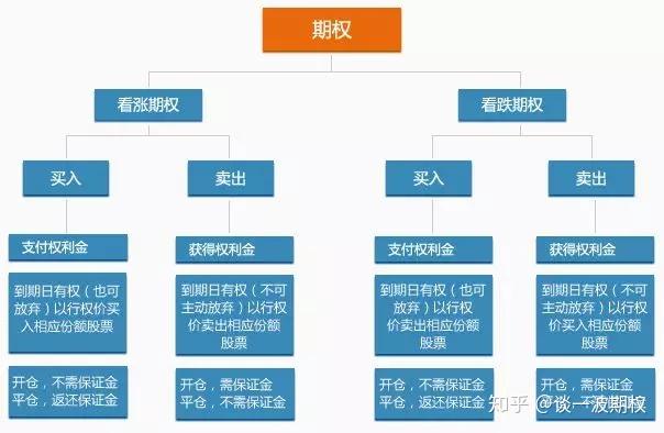 以“档案视角”讲好雷州故事