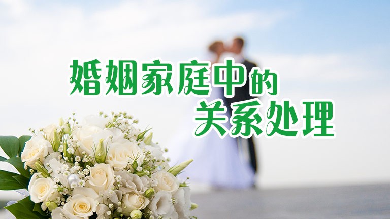 筑起坚实的“青春防线”！珠海青年众志成城织密蚊媒防控网